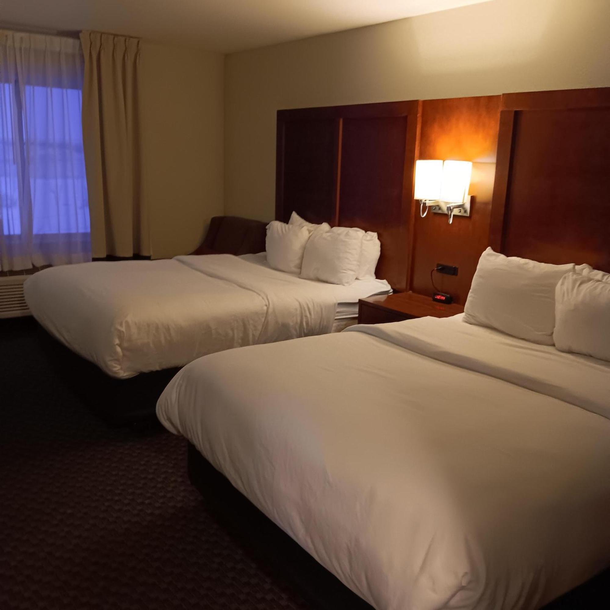 Comfort Inn & Suites סטרלינג מראה חיצוני תמונה