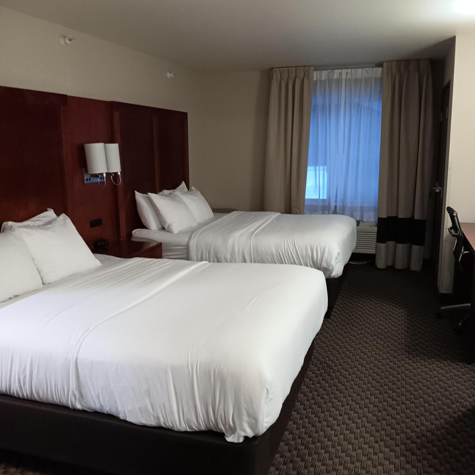 Comfort Inn & Suites סטרלינג מראה חיצוני תמונה